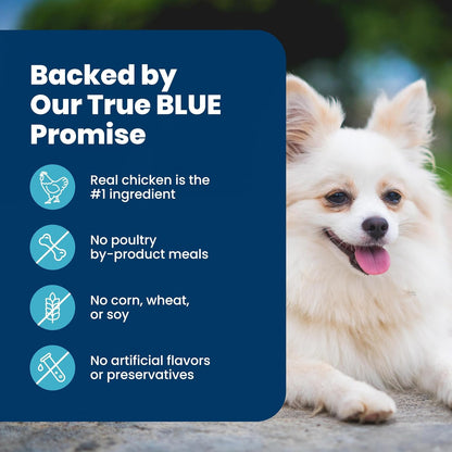 dha from fish oil for cognitive health in senior dogs