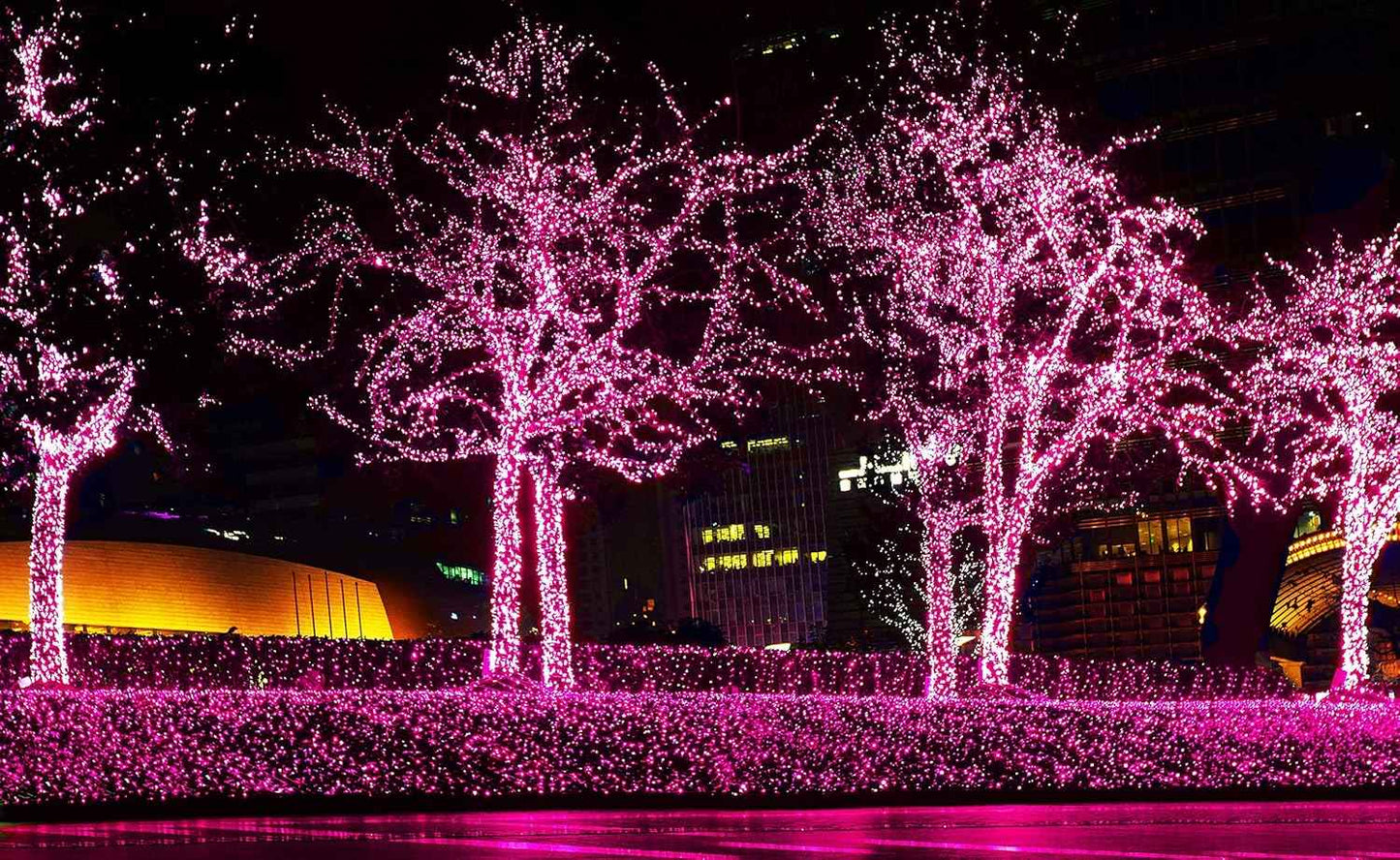 612 Vermont Pink String Lights for Bath Time Relaxation, Dimmable Ambient Mini Lights for Self Care Wind Down and Calming Bedroom Ritual
