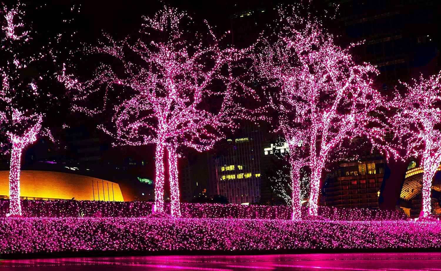 612 Vermont Pink String Lights for Bath Time Relaxation, Dimmable Ambient Mini Lights for Self Care Wind Down and Calming Bedroom Ritual