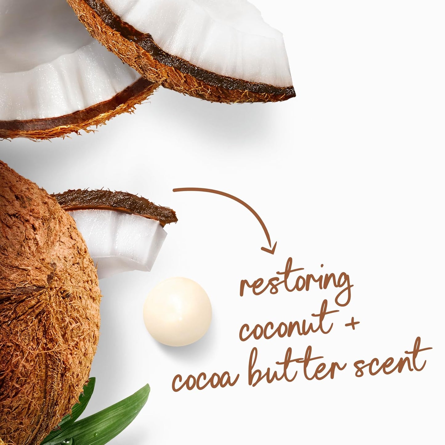 Dove Body Wash with Pump Coconut & Cocoa Butter Daily Self-Care Shower Ritual for Mindful Mornings