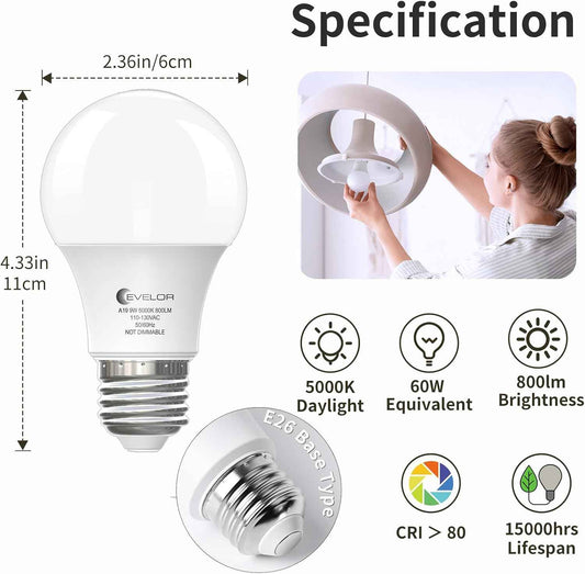 LUXRITE A19 LED Bulb 5000K Daylight – Bright Covered Patio and Porch Lighting, 9W Shatter-Resistant 4-Pack
