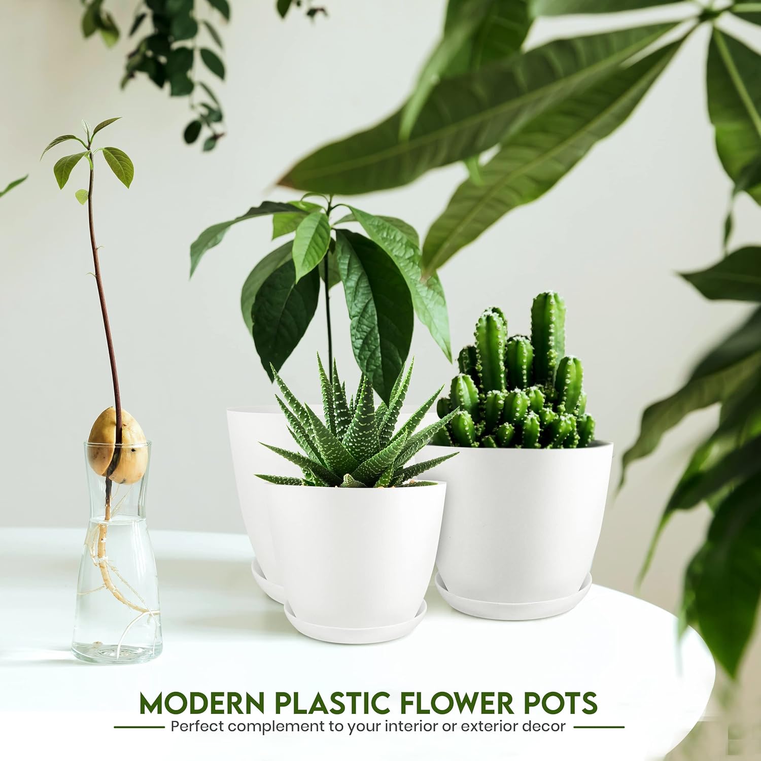 Utopia_Home_-_Plant_Pots_Indoor_with_Drainage_-_7/6.6/6/5.3/4.8_Inches_Flower_Pots_for_Indoor_Planter_-_5_Pack_Plastic_Planters_-_Ideal_for_Stocking_Stuffers_or_Home_Christmas_Decorations