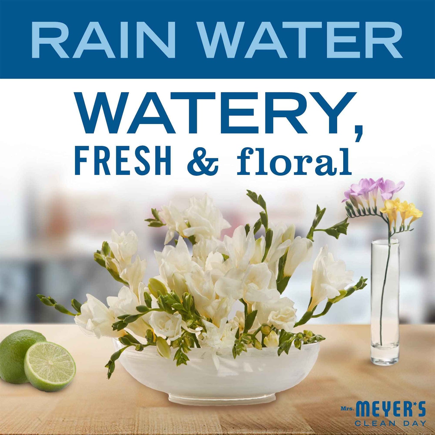 Mrs. Meyer's Clean Day Hand Soap Refill – Housewarming Gift Set Idea for New Homeowners