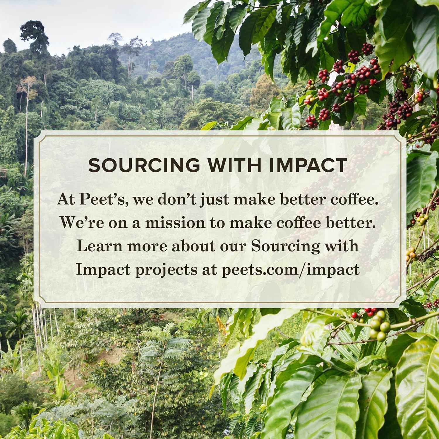 Peet's Coffee Off the Grid Medium Roast Ground Coffee – Focus Brew for Home Office Drip and Pour-Over