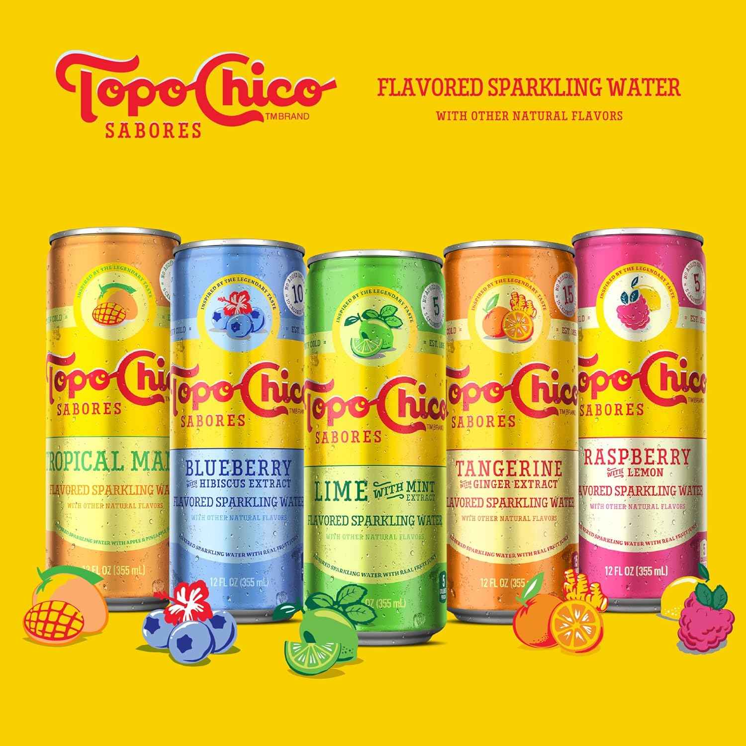 Topo Chico Sabores Raspberry with Lemon – Guilt-Free No-Added-Sugar Sparkling Refreshment for Mindful Hydration, 12oz 8pk