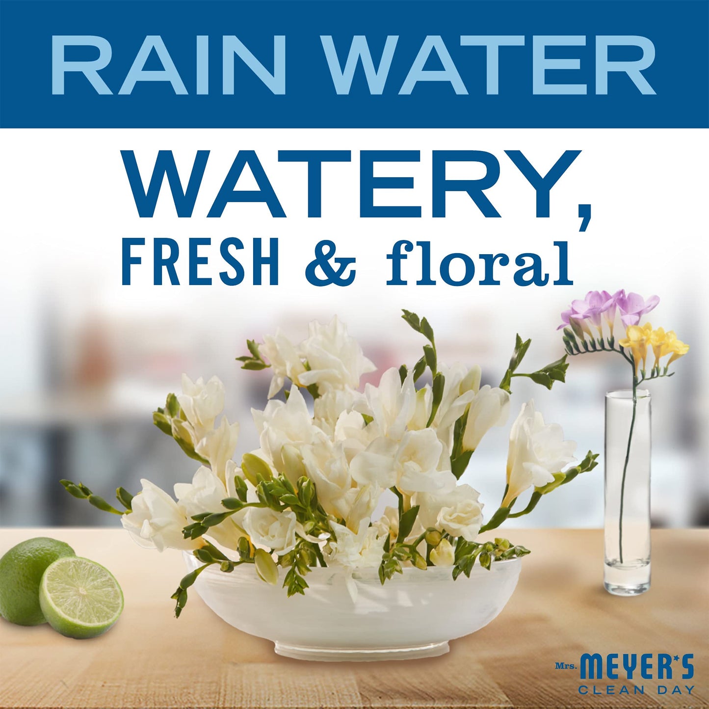 MRS._MEYER'S_CLEAN_DAY_Liquid_Hand_Soap_Refill,_Rainwater,_33_OZ