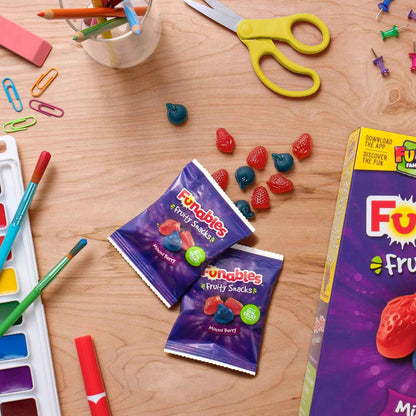 Funables Fruity Snacks Mixed Berry Pouches, Back-to-School Lunchbox Snack for Kids and Tweens, Bulk 22-Count Box