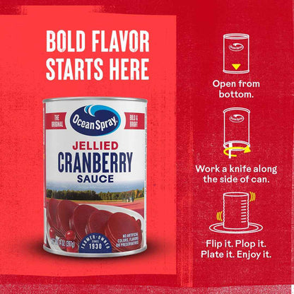 Ocean Spray Jellied Cranberry Sauce – Kid-Friendly Thanksgiving Side for the Family Table, 14 Oz Can Pack of 1