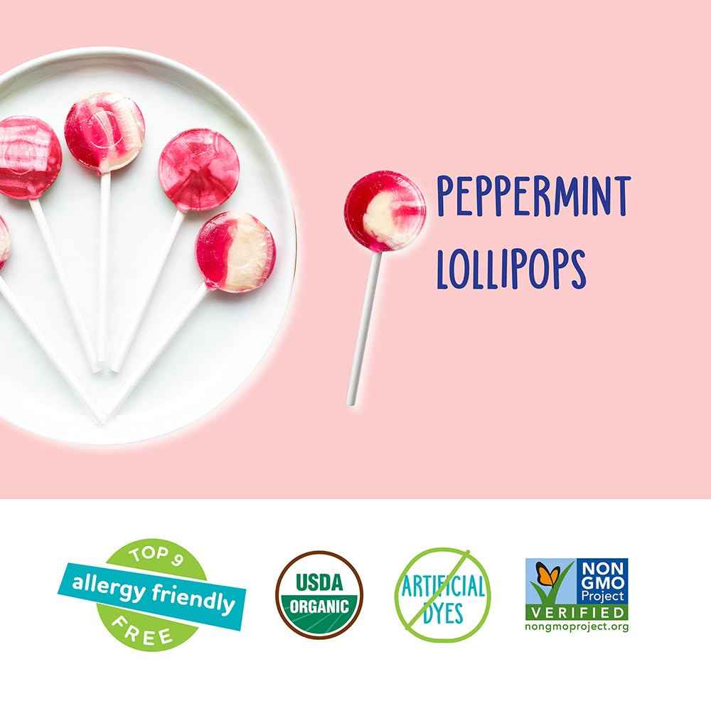 YumEarth Organic Candy Cane Lollipops - Thoughtful Housewarming Gift for Her, Allergy Friendly Holiday Candy, 30 Count Box