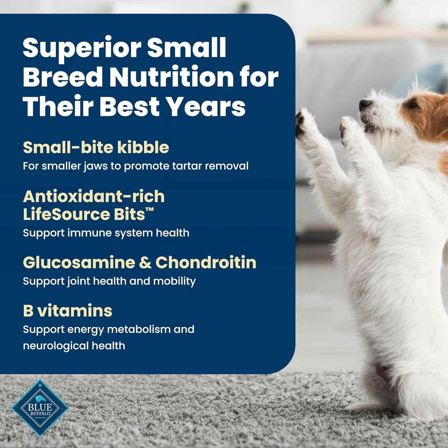 Blue Buffalo Life Protection Senior Small Breed Chicken & Brown Rice – Elevated Everyday Meal With LifeSource Bits and DHA, 5 lb