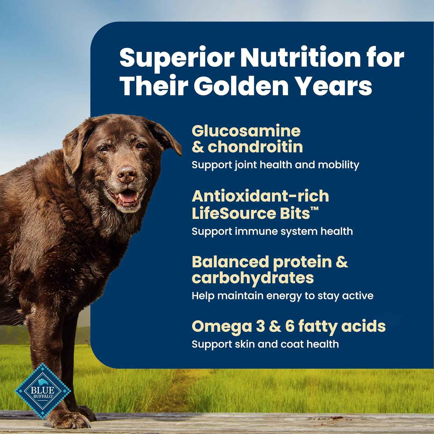 Blue Buffalo Senior Life Protection Chicken & Brown Rice – Clean-Label Nutrition with AAFCO-Compliant Senior Formula, 6 lb