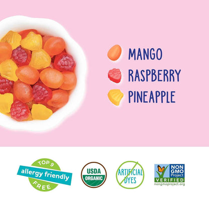 YumEarth Organic Tropical Fruit Snacks – On the Go Snack for Hiking and Car Rides