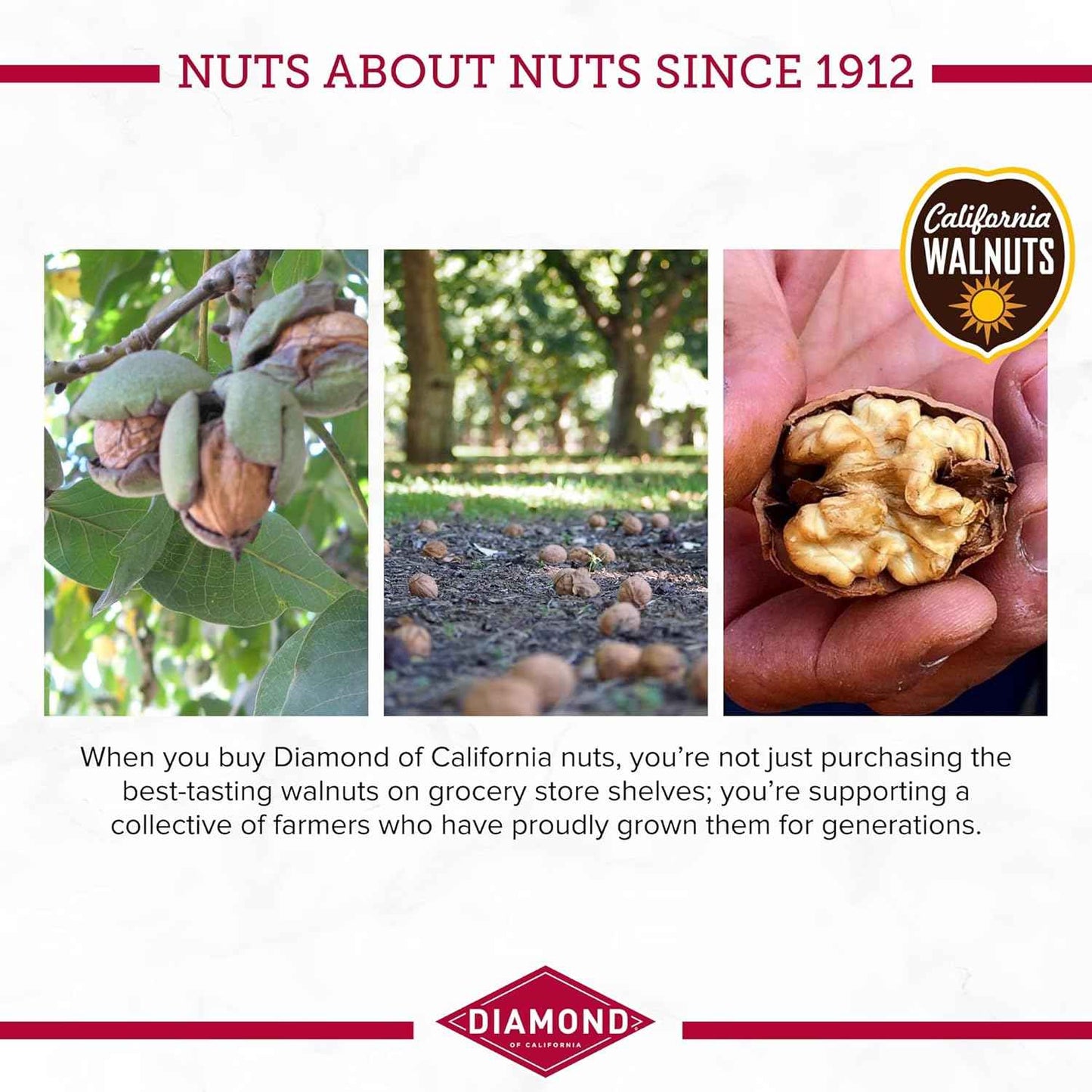 Diamond of California Chopped Walnuts – Resealable Snack for Backpacks, Daypacks, and Picnics