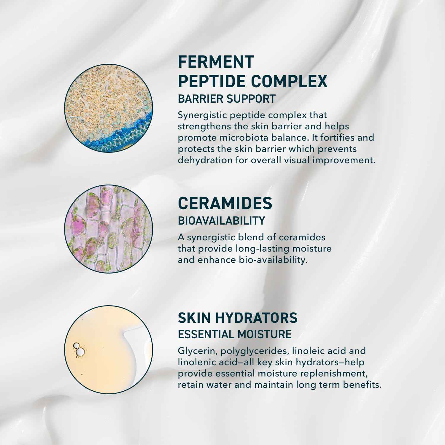 Prequel Skin Essential Moisturizer – Clean, Multi-Use Face Cream for AM/PM Routine Simplification & Minimal Skincare