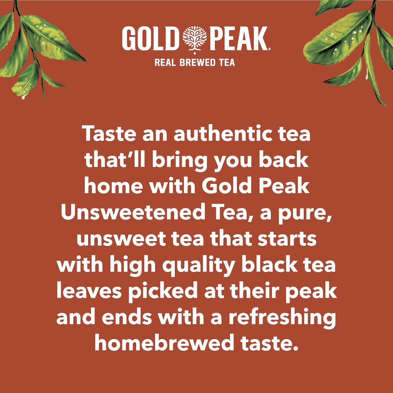 Gold Peak Unsweet Tea – Calorie-Free Hydration for Daily Wellness Routines, 16.9 fl oz 6 Pack