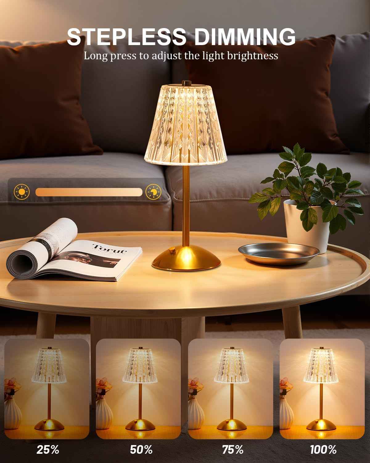 Dask Lamp Polished Metal and Crystal Table Lamp – Premium Cordless Fixture for Elevated Home Interiors