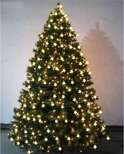 Homeleo Star String Lights for Bedroom & Living Room Decor, Warm White Battery LED Fairy Lights with Remote