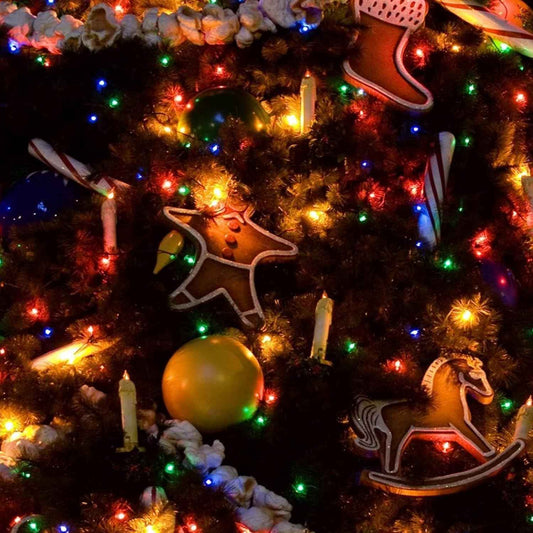 Dazzle Bright Solar String Lights – Family-Safe Nursery and Playroom Decor, No Flame No Heat