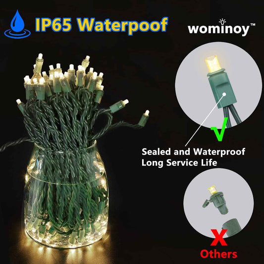 Festive Lights 25ft Warm White LED String Lights - Thoughtful Housewarming and Holiday Gift for Her, Cozy Home Decor Present