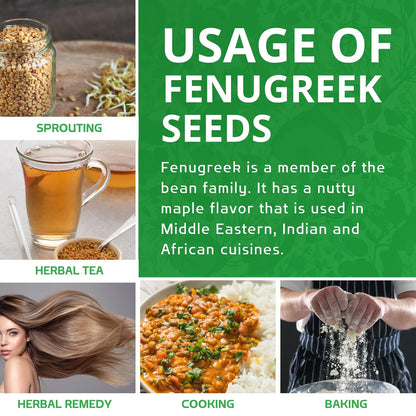 Jiva Organic Fenugreek Seeds 7 Ounce – Hormone-Balancing Methi Seeds for Nightly Wellness Rituals & Soothing Herbal Tonics