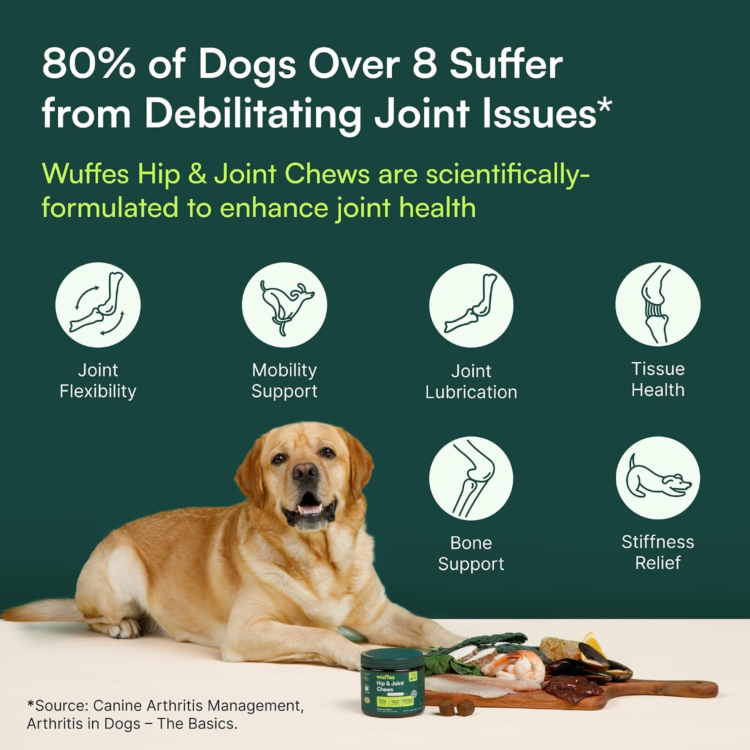 Joint Support Chews for Active Large Dogs – Trail and Hiking Recovery Supplement