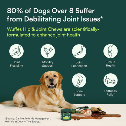 Joint Support Chews for Active Large Dogs – Trail and Hiking Recovery Supplement