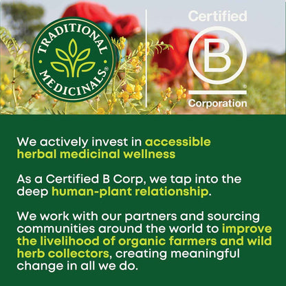 Traditional Medicinals Caffeine-Free Nettle Tea – Valentine's Day Gift for Her Wellness Routine
