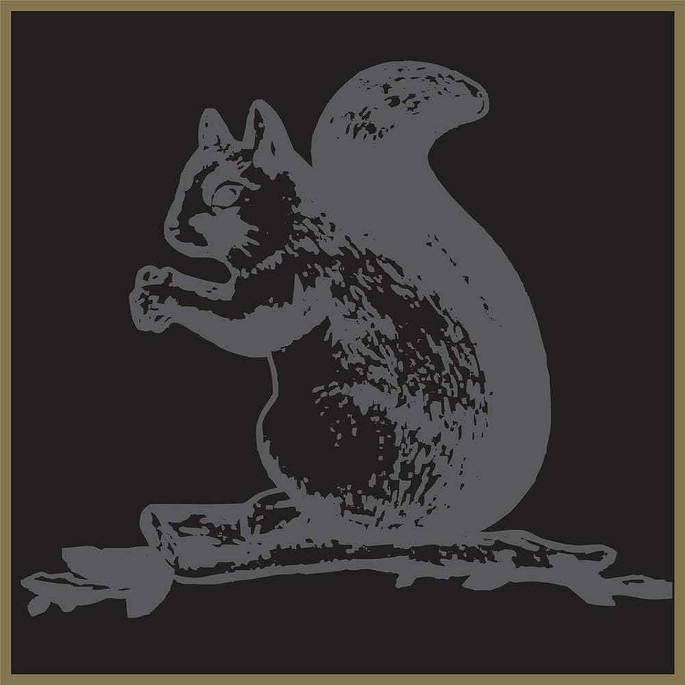 Squirrel Brand Sweet Brown Butter Cashews – Edible Accent for Grazing Tables and Holiday Spreads, 3.5 oz