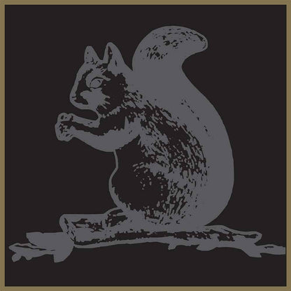Squirrel Brand Sweet Brown Butter Cashews – Edible Accent for Grazing Tables and Holiday Spreads, 3.5 oz