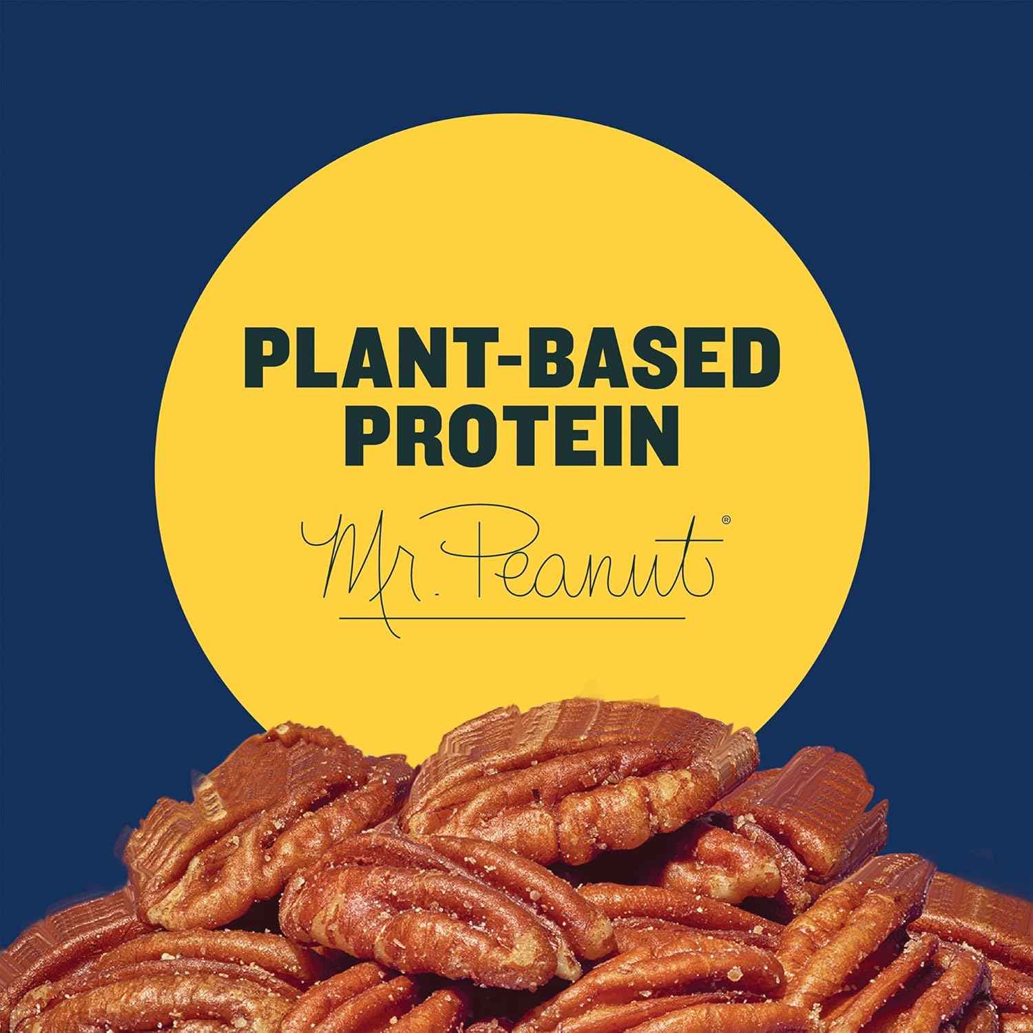 PLANTERS Salted Pecans – Road Trip Snack for the Car Cup Holder, 7.25 oz Single-Serve Pack