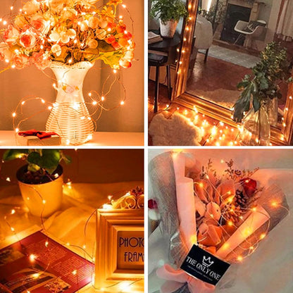 LumNest Fairy Lights – Thoughtful Birthday Gift for Her, Dimmable Cozy Home Decor Set