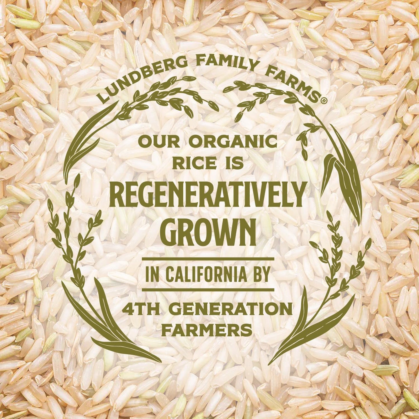 Lundberg Organic Brown Basmati – Quick Whole Grain for Weekly Meal Prep