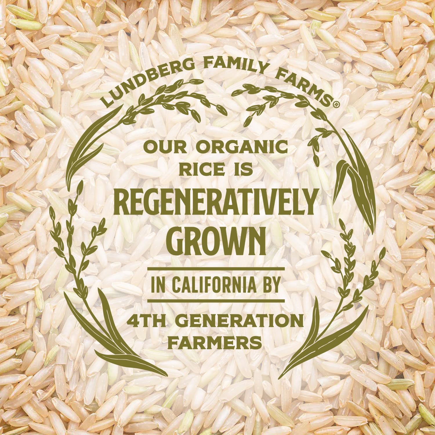 Lundberg Organic Brown Basmati – Quick Whole Grain for Weekly Meal Prep