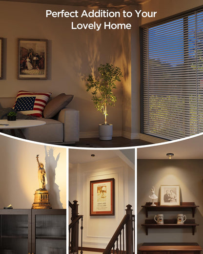LUXFURNI Spotlight Indoor – Premium Rechargeable Picture Light for High-End Gallery Walls and Collectible Displays