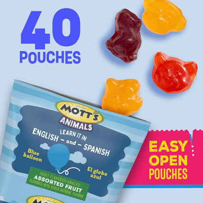 Mott's Berry Chewy Fruit Snacks Holiday Gift – Thoughtful Seasonal Treat for Grandparents to Share with Grandchildren, 40 Pouch Pack