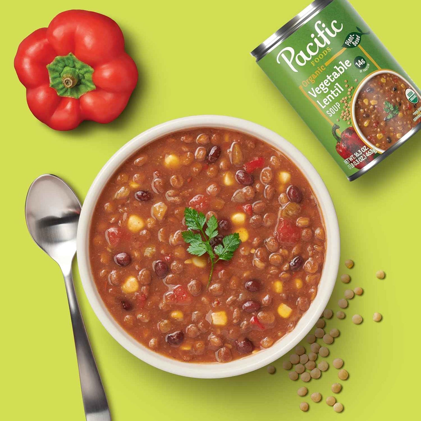 Pacific Foods Organic Vegetable Lentil Soup – Shelf-Stable Plant Protein for Camping Coolers and Trail Meals
