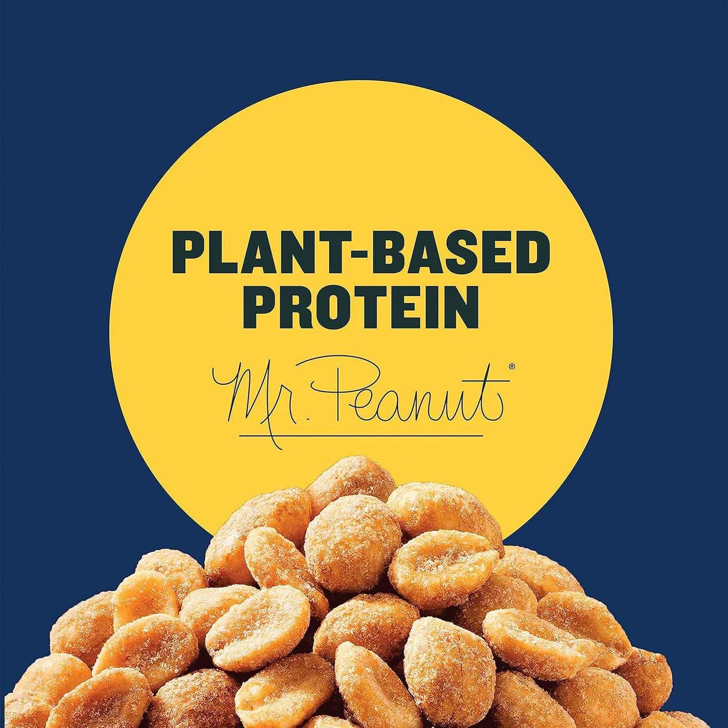 PLANTERS Honey Roasted Peanuts Tailgate Snack, Game Day Party Jar for Backyard and Patio, 16oz