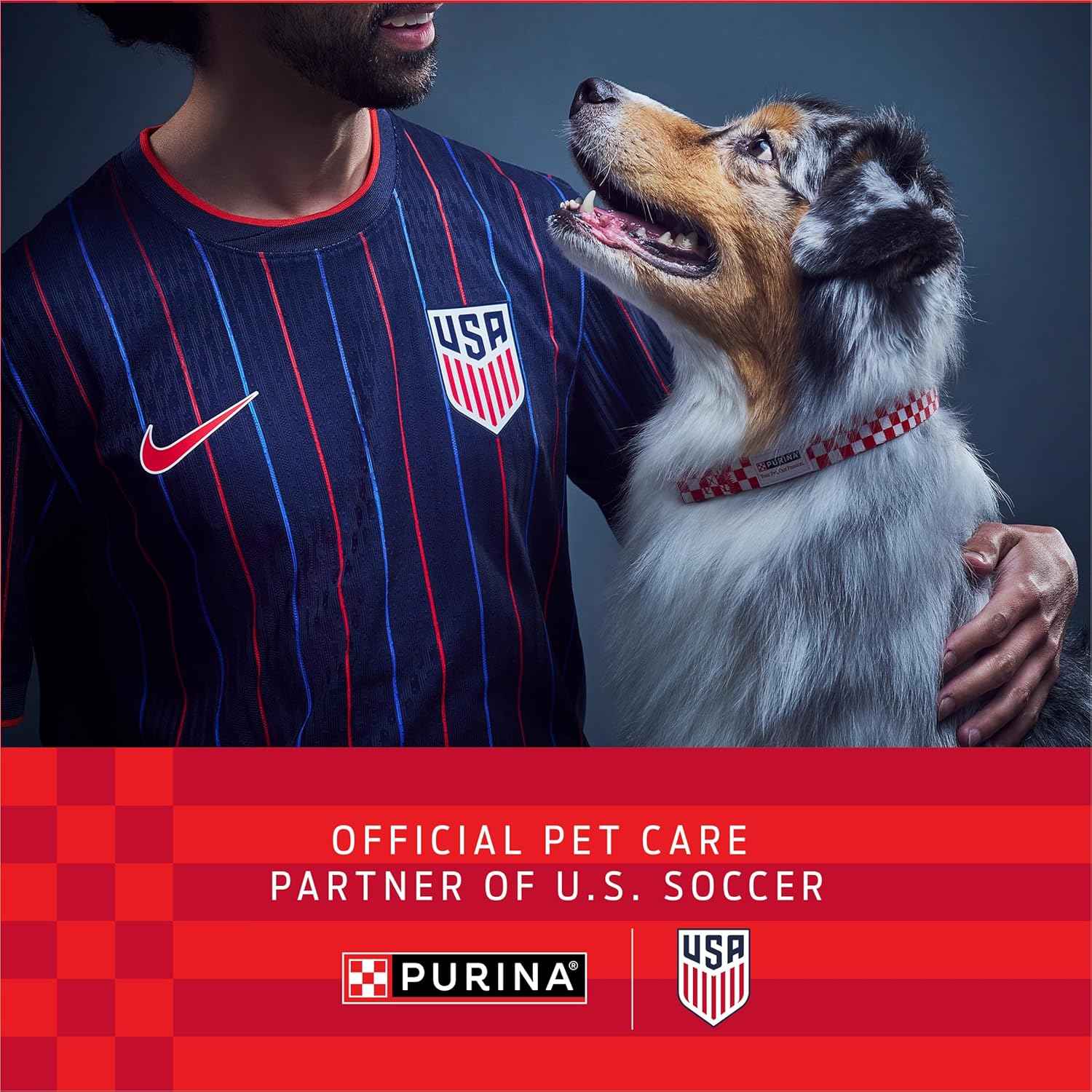 Purina ONE SmartBlend Lamb and Rice Dry Dog Food - Housewarming Gift for Multi-Dog Households, 31.1 lb. Bag