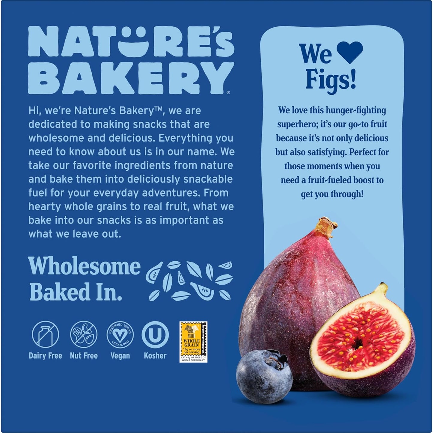 Nature's Bakery Blueberry Fig Bars - Portable Hiking Snack for Trail Energy, Twin Pack Wrapped