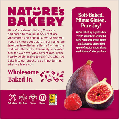 Nature's Bakery Gluten Free Fig Bars – Pantry Essential for Intentional Snacking