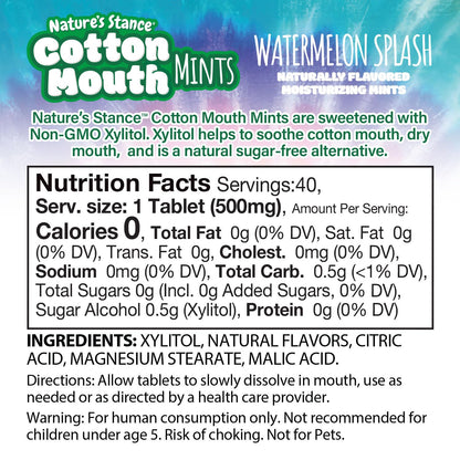Nature's Stance Cotton Mouth Xylitol Mints – Thoughtful Sugar-Free Stocking Stuffer for Mom, Coworkers, and Frequent Travelers