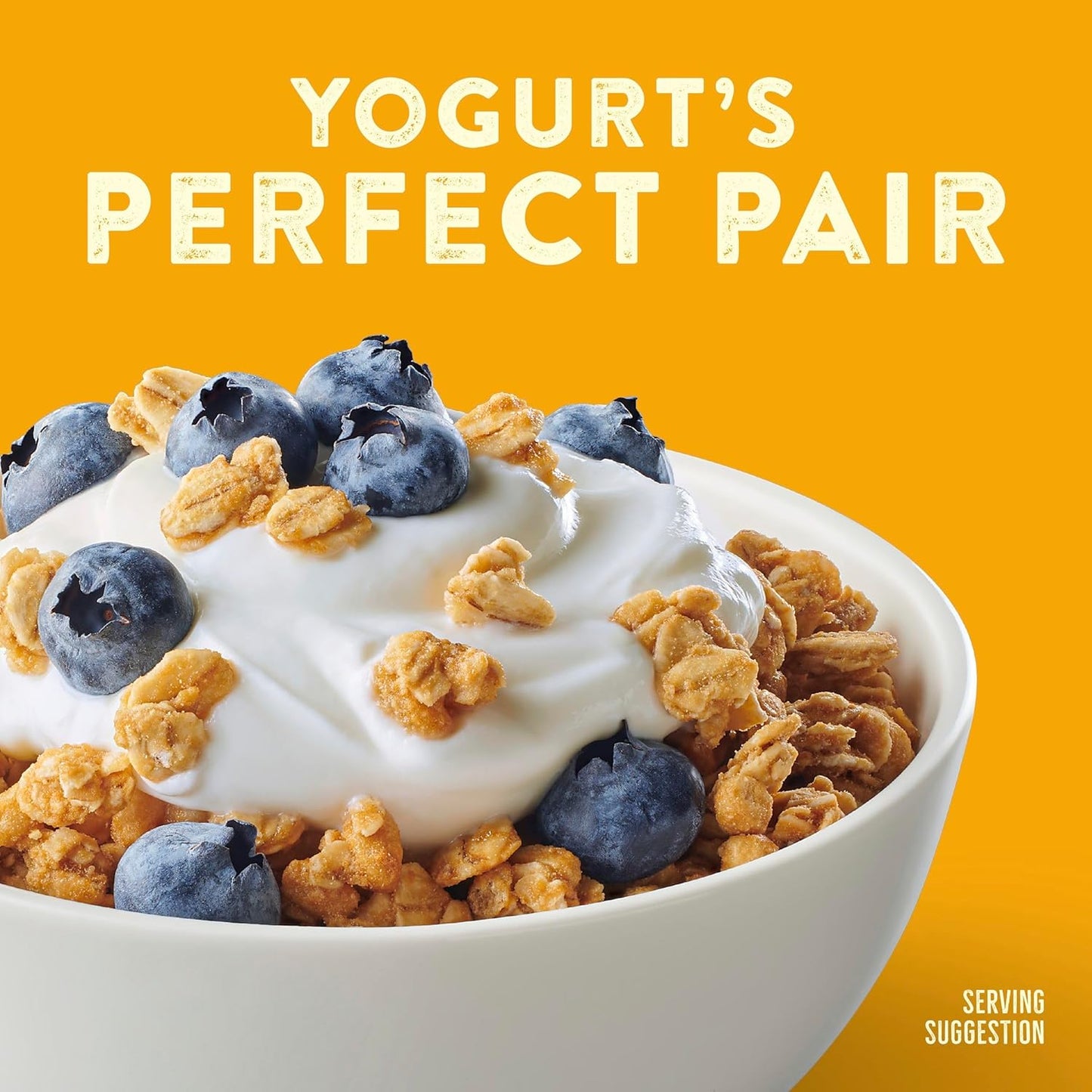 Nature Valley Protein Granola Oats and Honey Office Desk Drawer Snack, 13g Protein Fuel for Focused Workdays