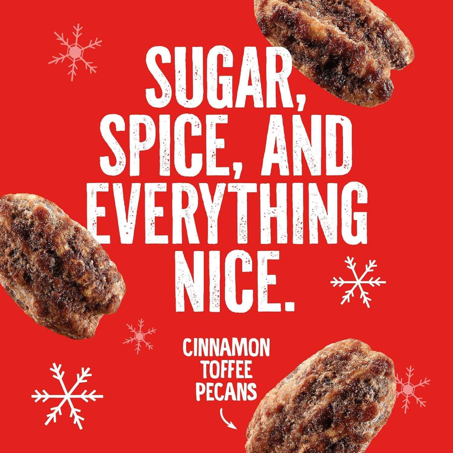 Pecan Toffee Glazed Snack – Elegant Hostess Gift for Holiday Parties, 5oz Stand-Up Bag