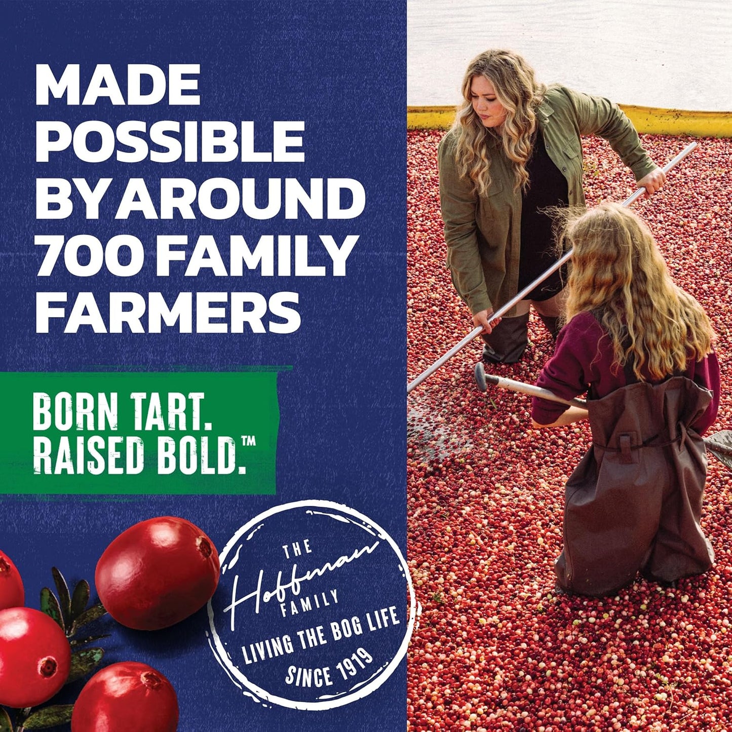 Ocean Spray Cran-Apple Juice Drink – Backyard Gathering Ready 6-Pack Cocktail Mixer