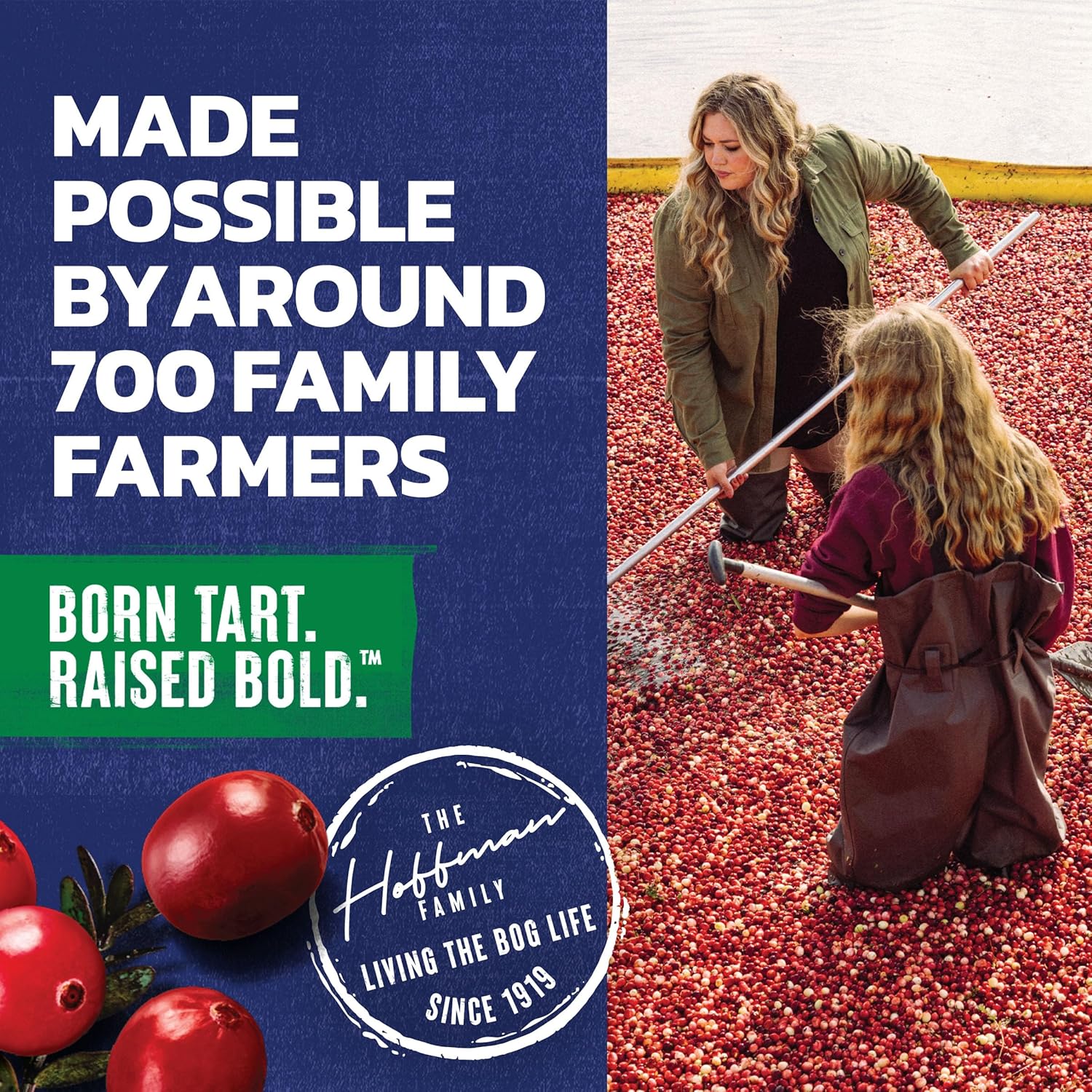 Ocean Spray Cran-Apple Juice Drink – Backyard Gathering Ready 6-Pack Cocktail Mixer