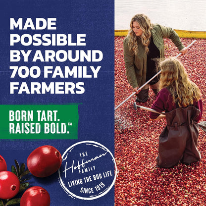 Ocean Spray Cran-Apple Juice Drink – Backyard Gathering Ready 6-Pack Cocktail Mixer