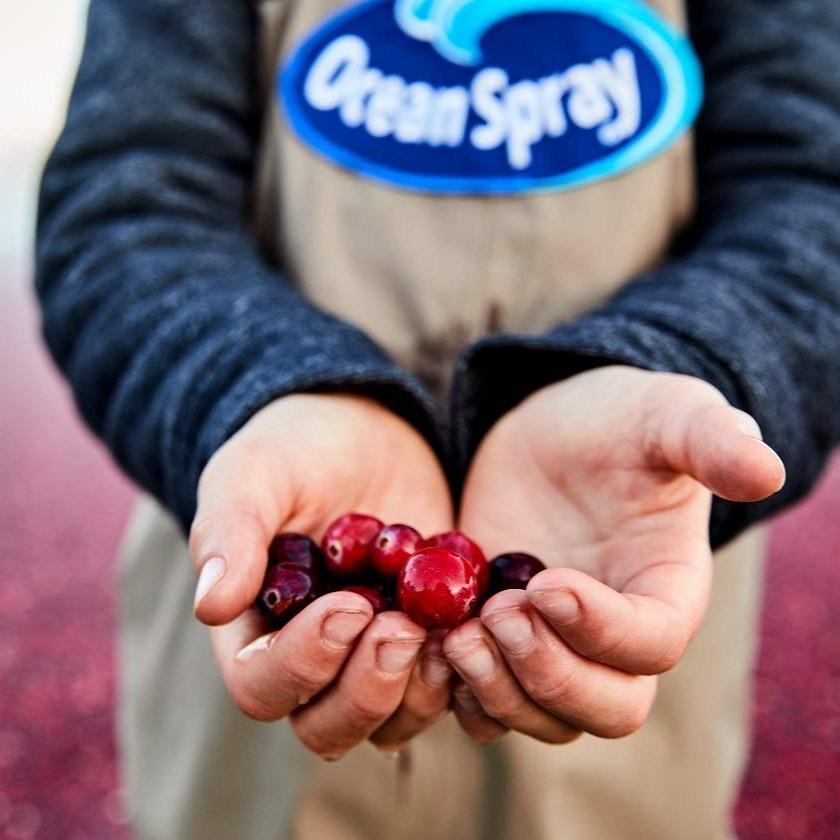Ocean Spray Cran-Energy Cranberry Raspberry Energy Juice Drink for Home Office Productivity and Clean Caffeine Sustained Energy