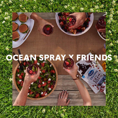 Ocean Spray Cran-Grape Juice, Portable 10 oz Bottles for Picnics and Road Trips (Pack of 6)