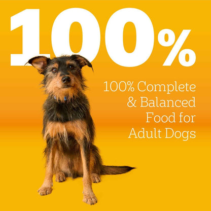 Pedigree Adult Dry Dog Food – Quick Daily Kibble Solution for Working Owners, 18 lb. Bag
