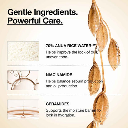 Anua Rice 70 Glow Milky Toner – Calming Evening Skincare Ritual for Radiant, Hydrated Skin
